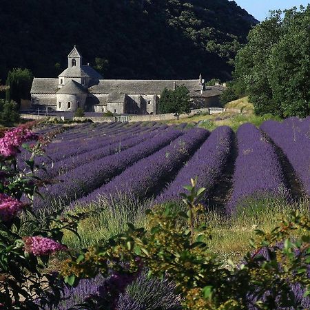La Calvinette Villa Pernes-les-Fontaines Dış mekan fotoğraf