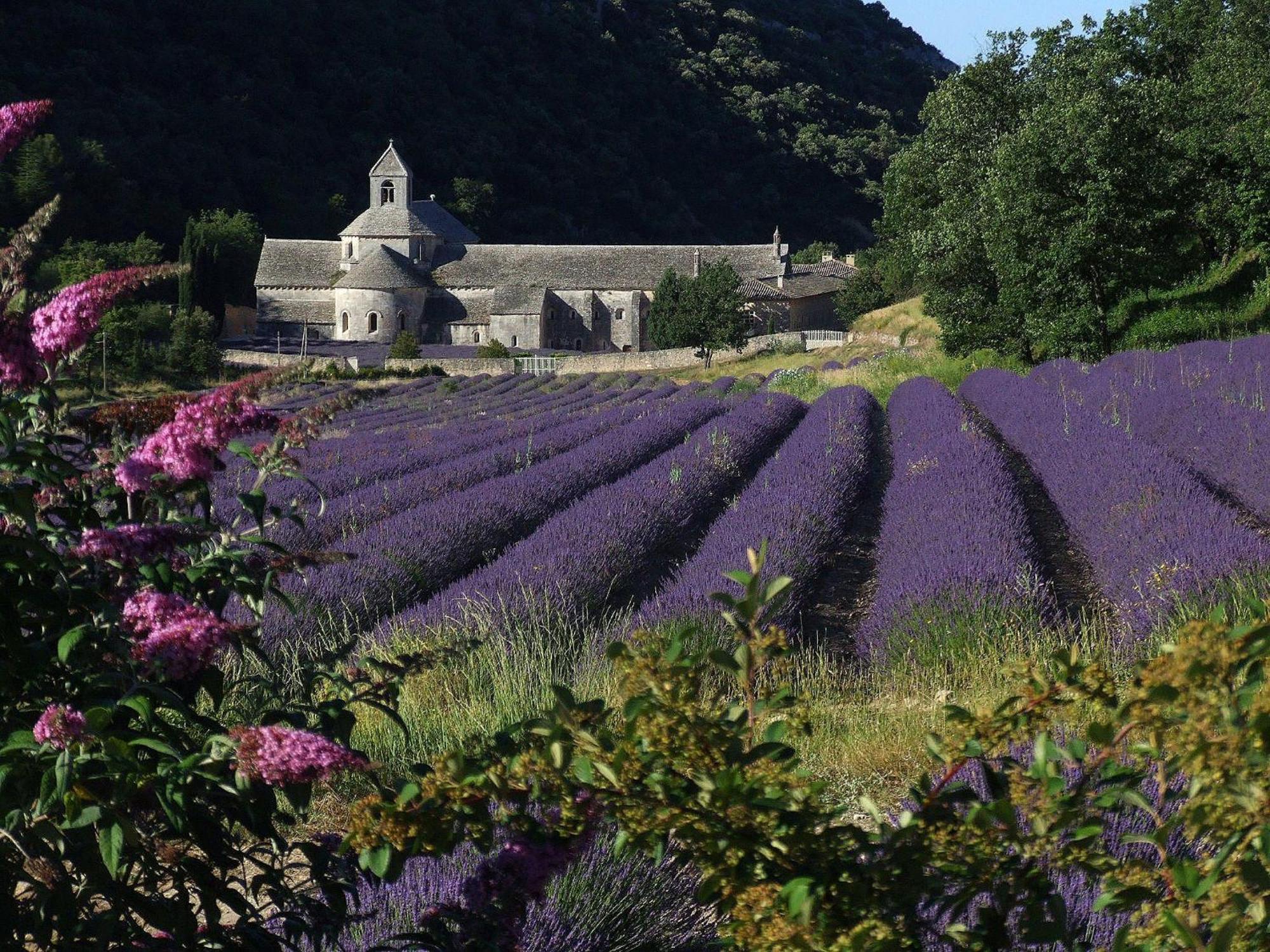 La Calvinette Villa Pernes-les-Fontaines Dış mekan fotoğraf